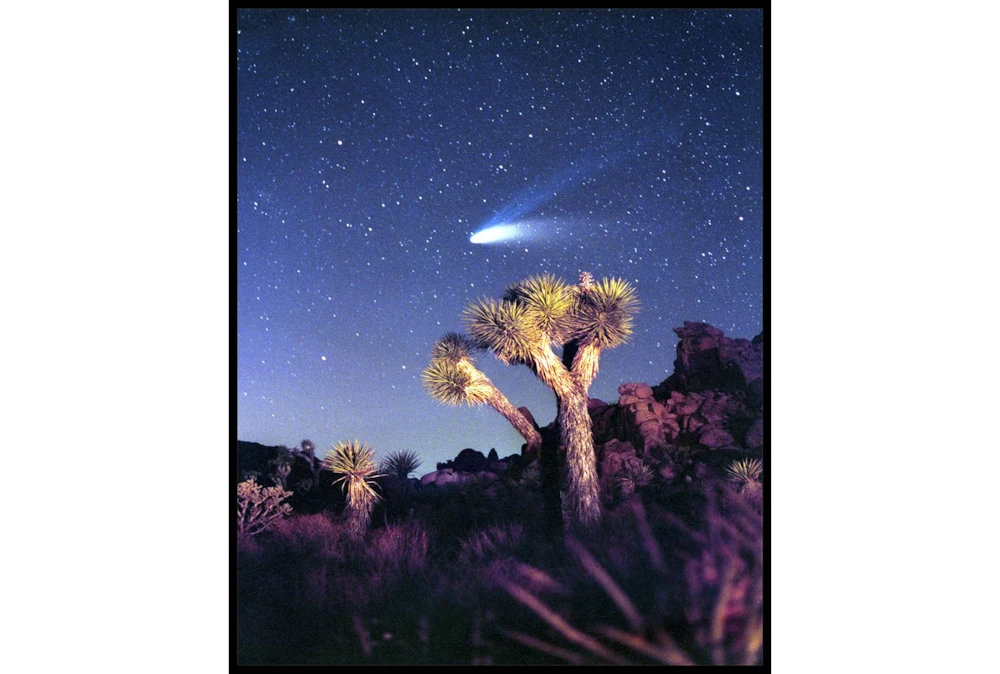 42X52 Joshua Tree Np Haley'S Comet With Black Frame