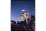 42X52 Joshua Tree Np Haley'S Comet With Black Frame - Signature