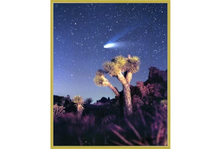 42X52 Joshua Tree Np Haley'S Comet With Gold Frame