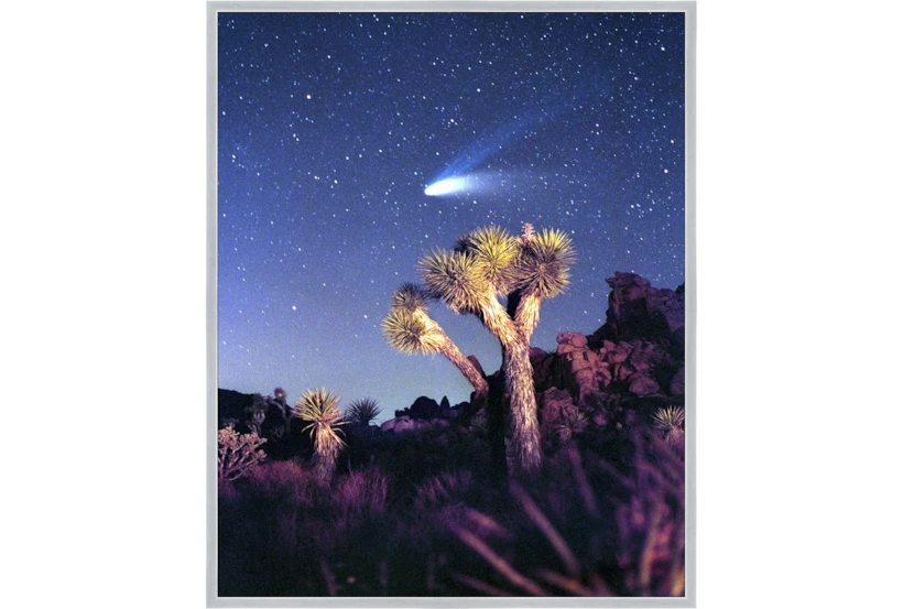 42X52 Joshua Tree Np Haley'S Comet With Silver Frame - 360