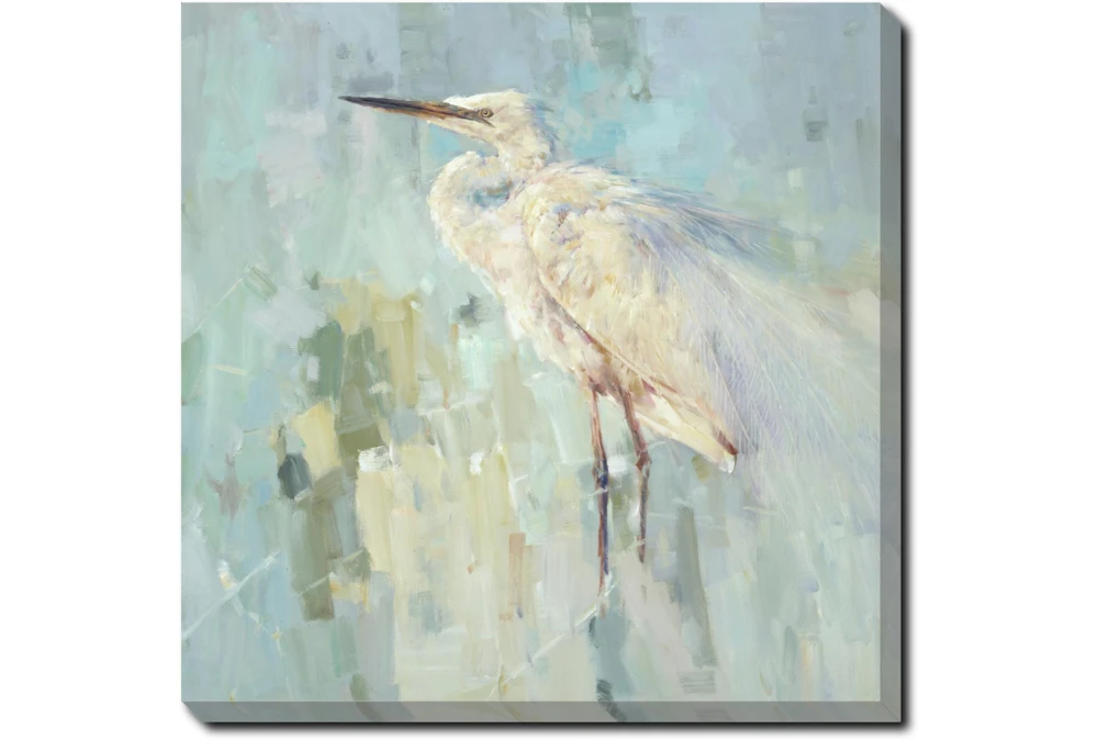 45X45 White Heron With Gallery Wrap Canvas