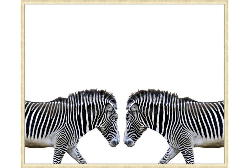 52X42 Zebra Face Off With Gold Champagne Frame