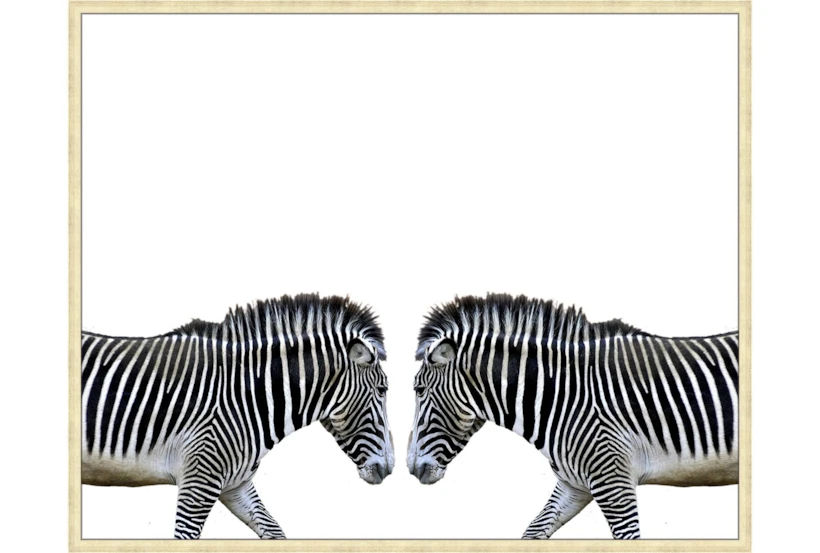 52X42 Zebra Face Off With Gold Champagne Frame - 360
