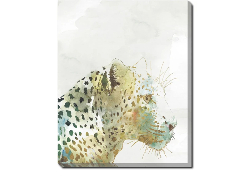 40X50 Jungle Friends Leopard With Gallery Wrap Canvas - 360