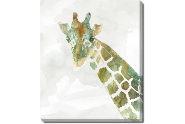 20X24 Jungle Friends Giraffe With Gallery Wrap Canvas - 360