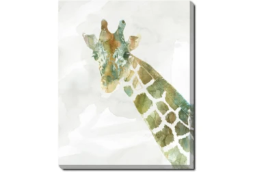 40X50 Jungle Friends Giraffe With Gallery Wrap Canvas
