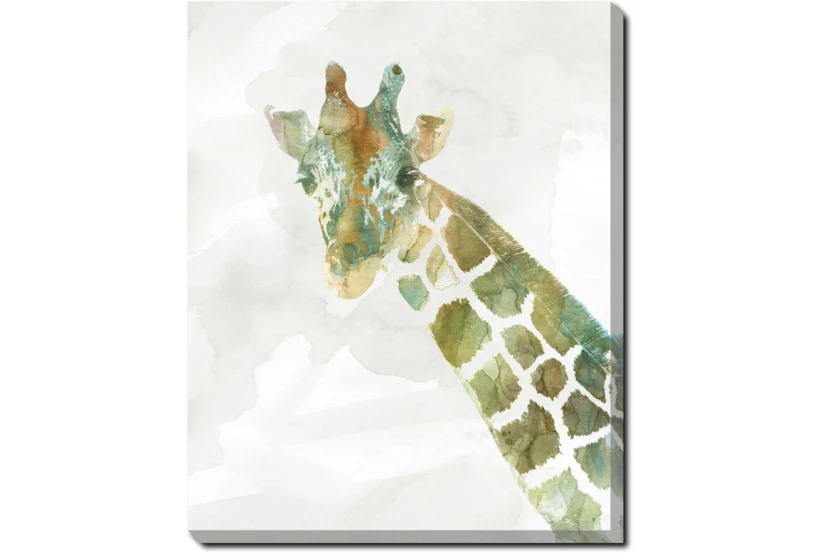 40X50 Jungle Friends Giraffe With Gallery Wrap Canvas - 360