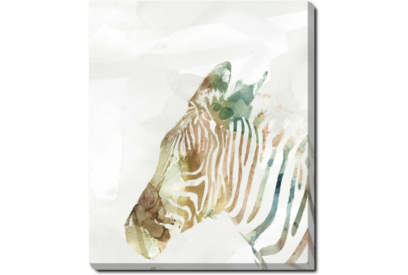 20X24 Jungle Friends Zebra With Gallery Wrap Canvas - 360