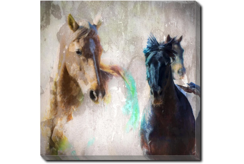 36X36 Horse Rush With Gallery Wrap Canvas - 360