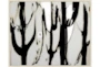 52X42 Desert Trees With Birch Frame  - Signature