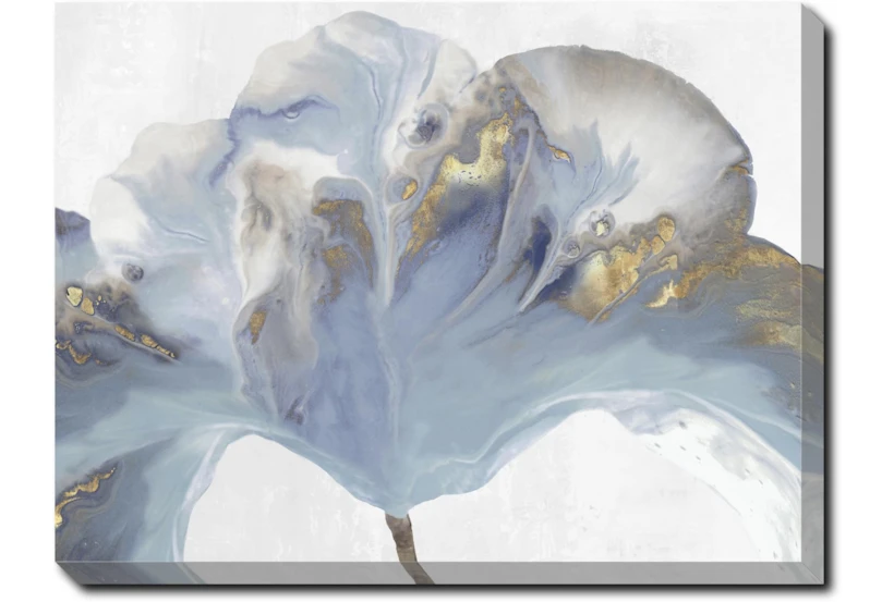40X30 Flowing Floral II With Gallery Wrap Canvas - 360