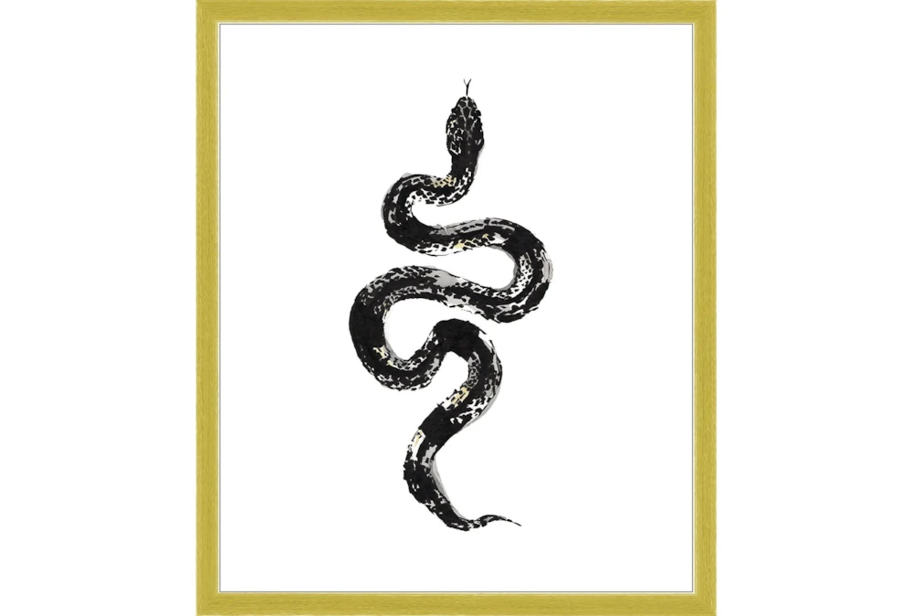 22X26 B&W Snake 1 With Gold Frame 