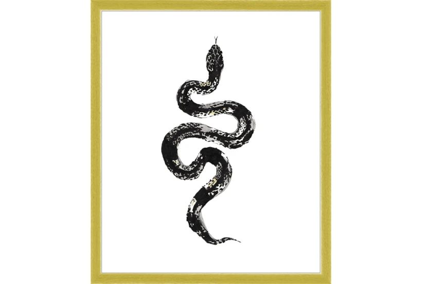 22X26 B&W Snake 1 With Gold Frame  - 360