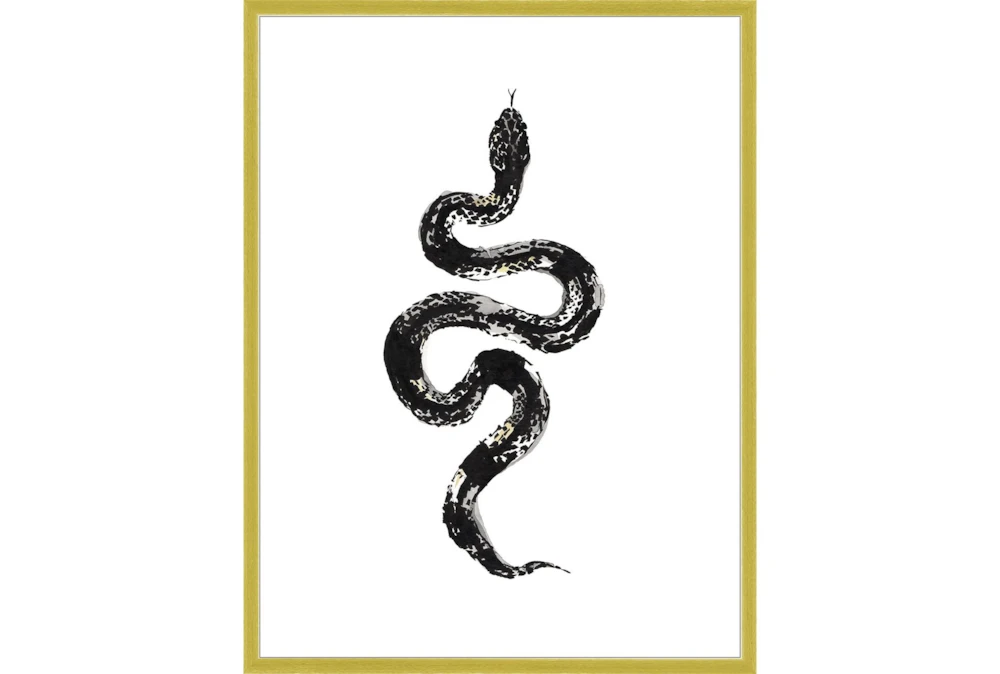32X42 B&W Snake 1 With Gold Frame 