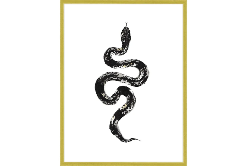 32X42 B&W Snake 1 With Gold Frame  - 360