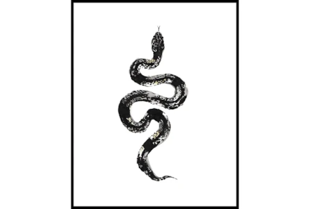 42X52 B&W Snake 1 With Black Frame - Main