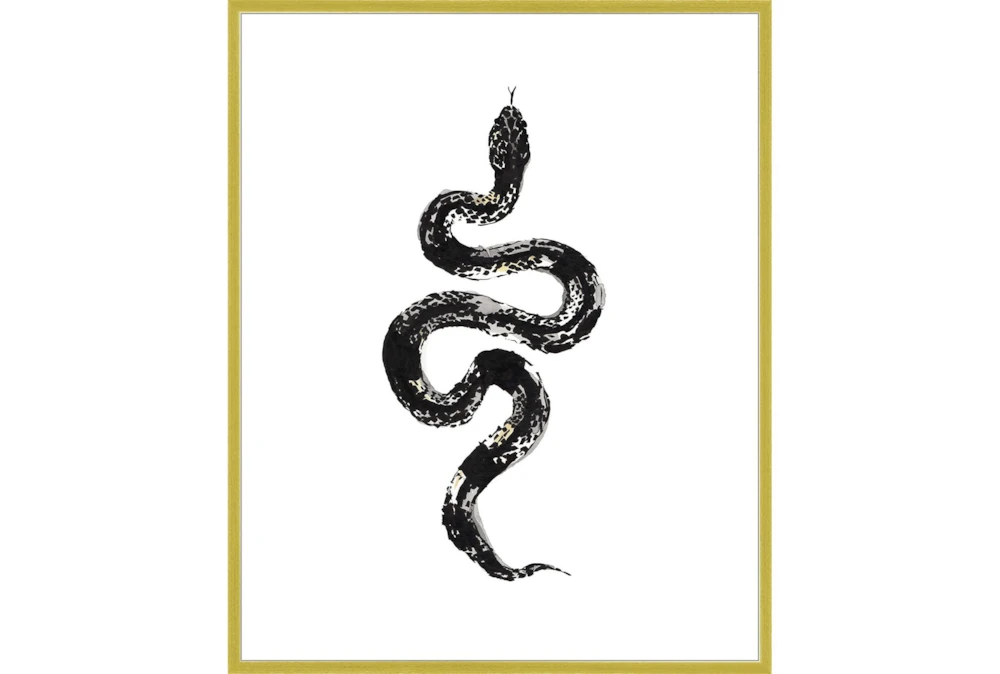 42X52 B&W Snake 1 With Gold Frame 
