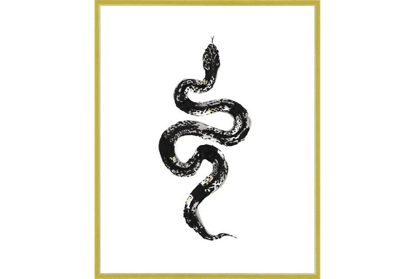 42X52 B&W Snake 1 With Gold Frame  - 360