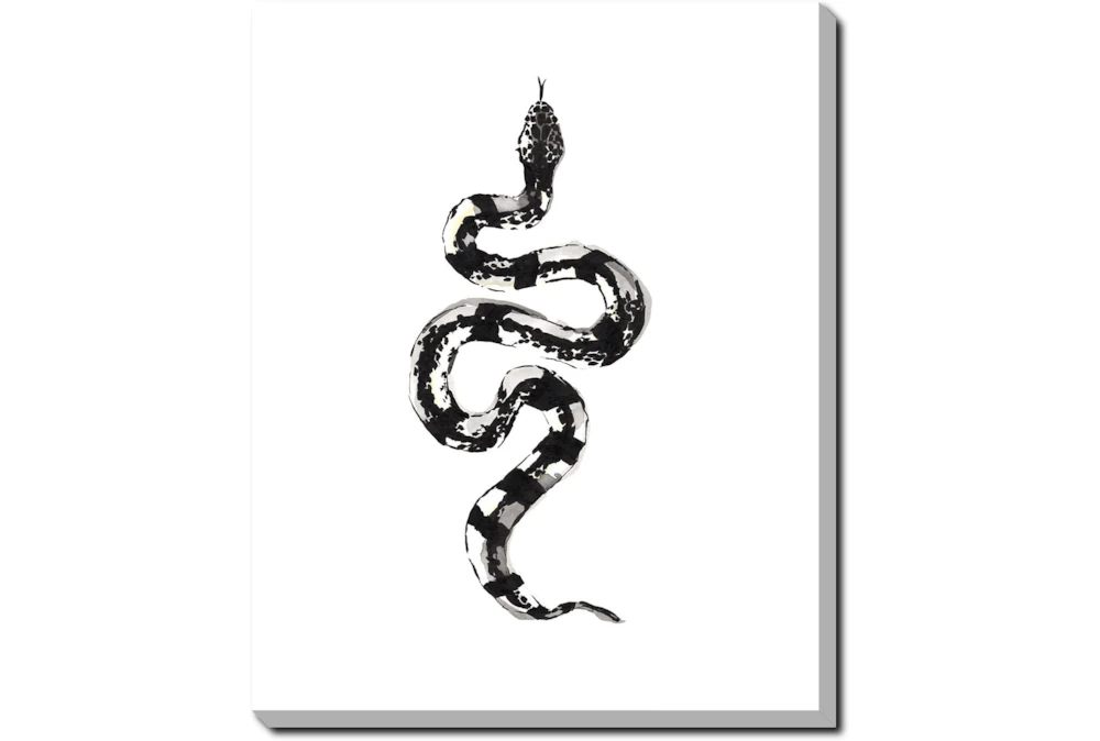 40X50 B&W Snake 2 With Gallery Wrap Canvas