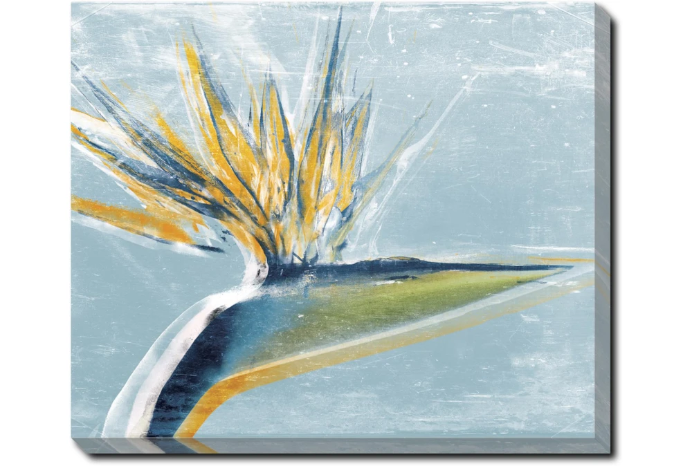 24X20 Bird Of Paradise With Gallery Wrap Canvas