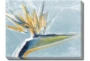 40X30 Bird Of Paradise With Gallery Wrap Canvas - Signature