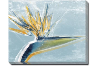 50X40 Bird Of Paradise With Gallery Wrap Canvas