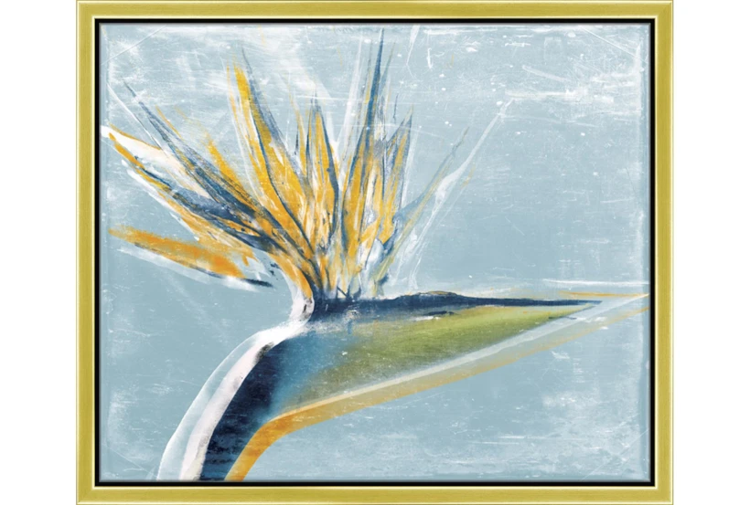 26X22 Bird Of Paradise With Gold Frame  - 360