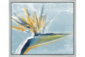 26X22 Bird Of Paradise With Silver Frame