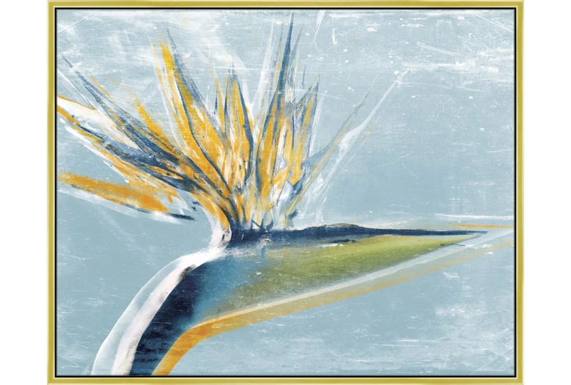 52X42 Bird Of Paradise With Gold Frame  - 360