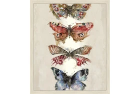 22X26 Butterflies With Birch Frame 