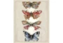 22X26 Butterflies With Birch Frame  - Signature