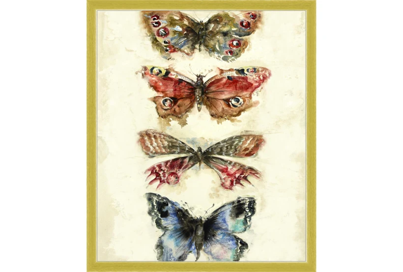 22X26 Butterflies With Gold Frame  - 360