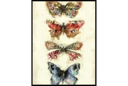 32X42 Butterflies With Black Frame 