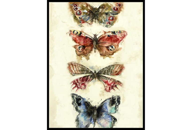 32X42 Butterflies With Black Frame  - 360