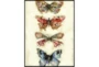 32X42 Butterflies With Black Frame  - Signature