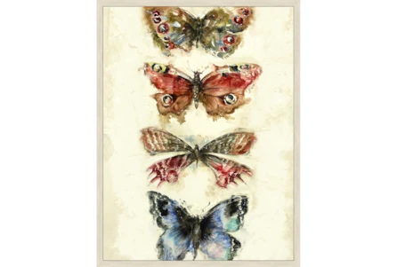 32X42 Butterflies With Birch Frame