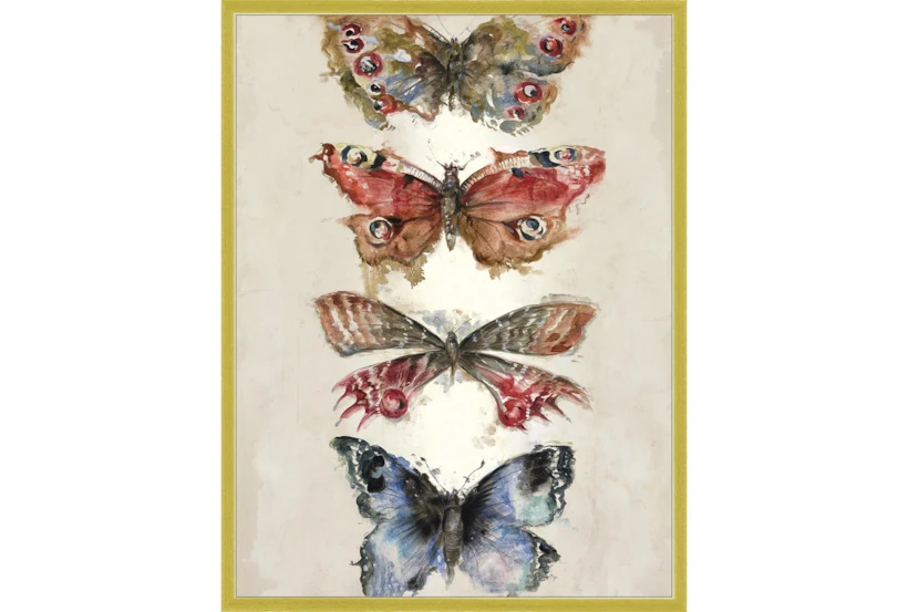 32X42 Butterflies With Gold Frame  - 360