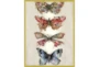 32X42 Butterflies With Gold Frame  - Signature