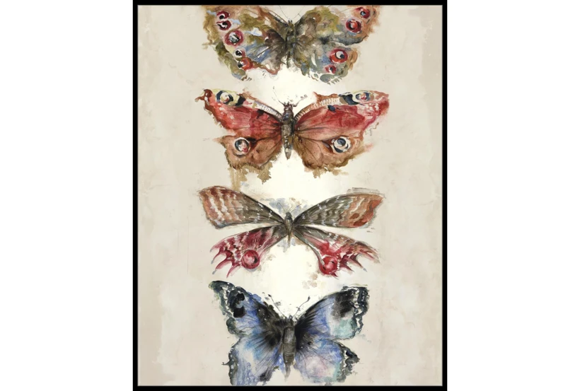 42X52 Butterflies With Black Frame  - 360