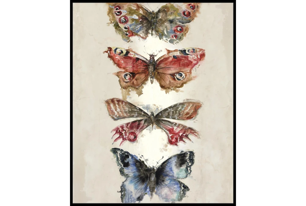 42X52 Butterflies With Black Frame 