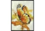 32X42 The Monarch With Black Frame  - Signature