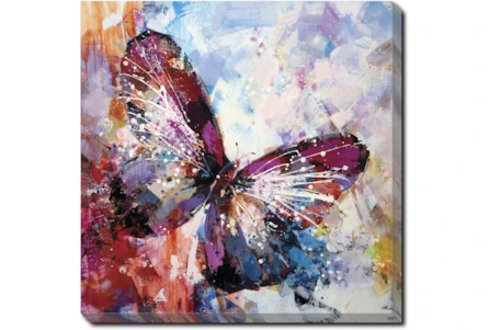 36X36 Winged Beauty Butterfly With Gallery Wrap Canvas