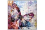 47X47 Winged Beauty Butterfly With White Frame  - Signature