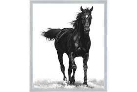 22X26 B&W Strong Stallion With Silver Frame 