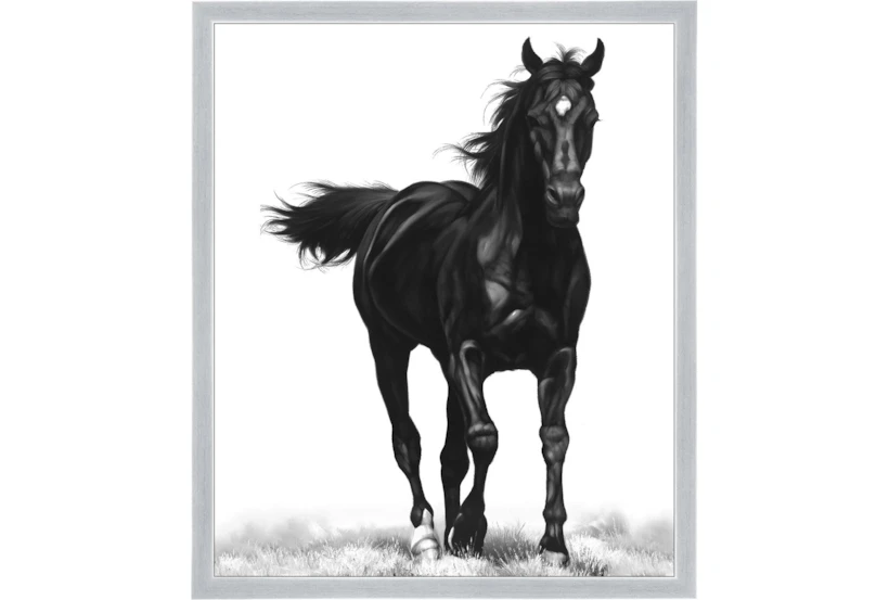 22X26 B&W Strong Stallion With Silver Frame  - 360