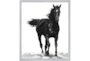 22X26 B&W Strong Stallion With Silver Frame  - Signature