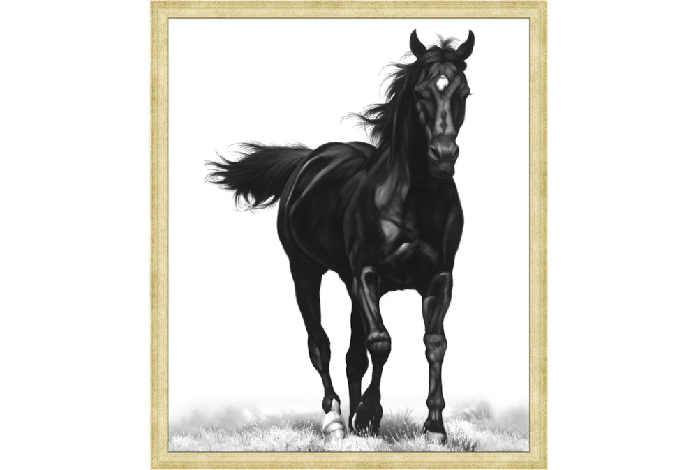 22X26 B&W Strong Stallion With Bronze Gold Frame