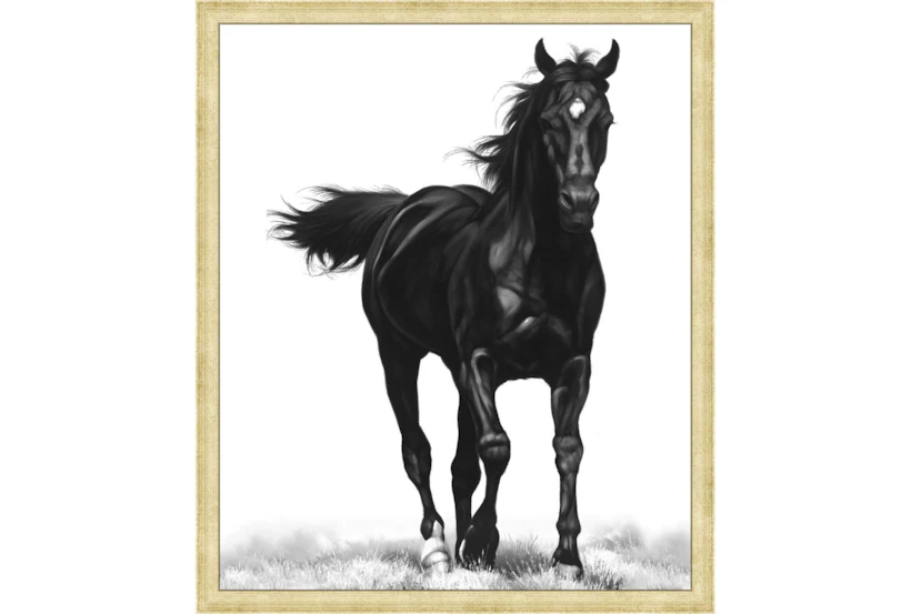 22X26 B&W Strong Stallion With Bronze Gold Frame - 360