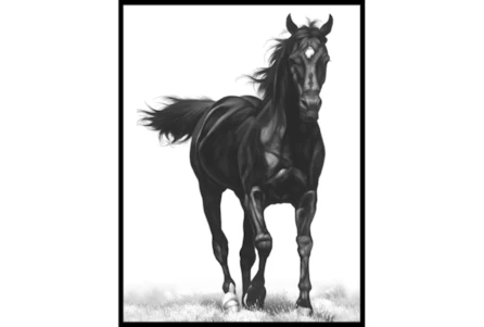 32X42 B&W Strong Stallion With Black Frame - Main