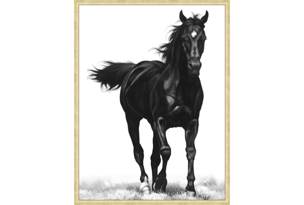 32X42 B&W Strong Stallion With Bronze Gold Frame